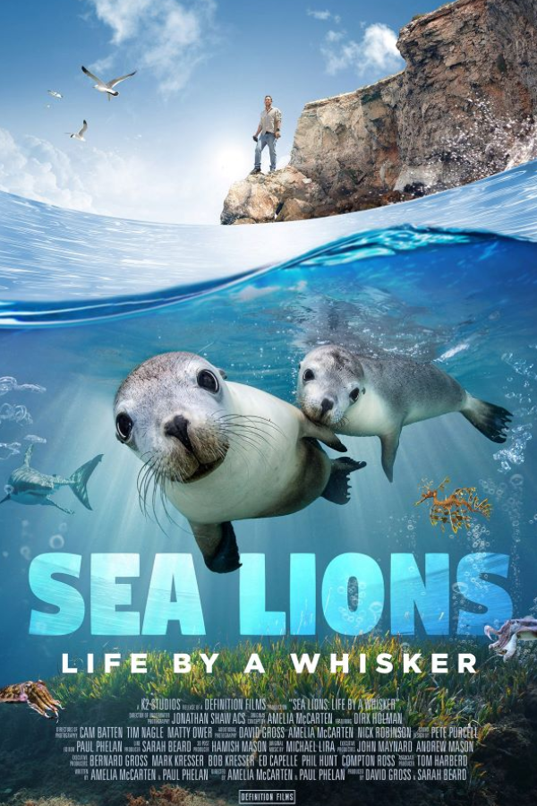 Sea Lions: Life By a Whisker